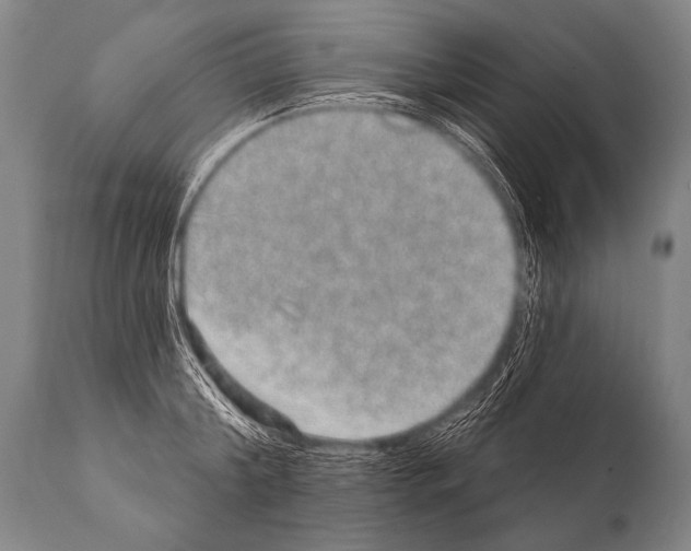 X0000112000804200909141100