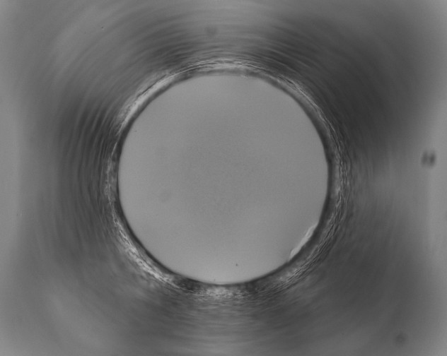 X0000112000806200909141100