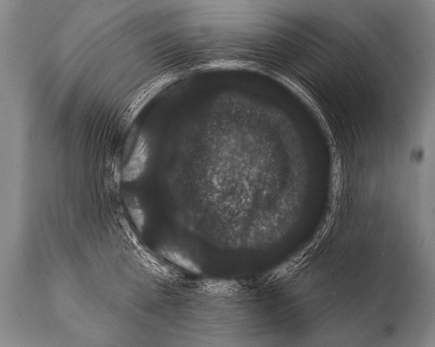 X0000112000809200909141100