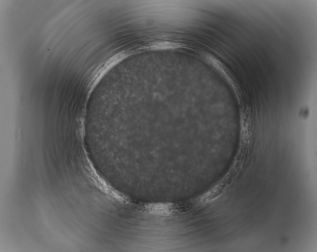 X0000112000810200909141100