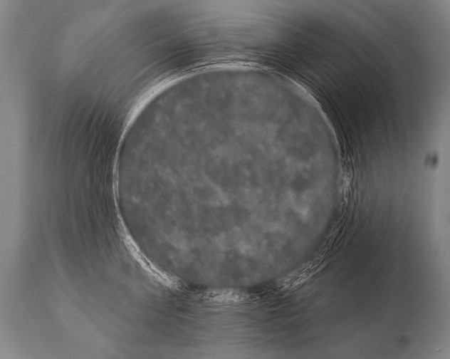 X0000112000811200909141100