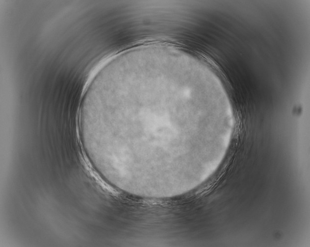 X0000112000812200909141100