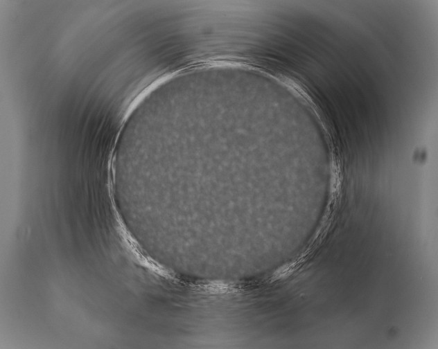 X0000112000814200909141100