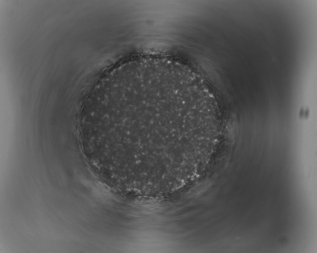 X0000112000817200909141059