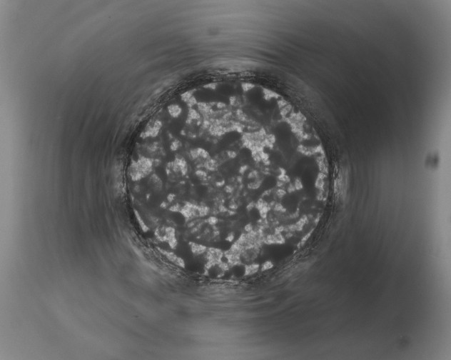 X0000112000819200909141059