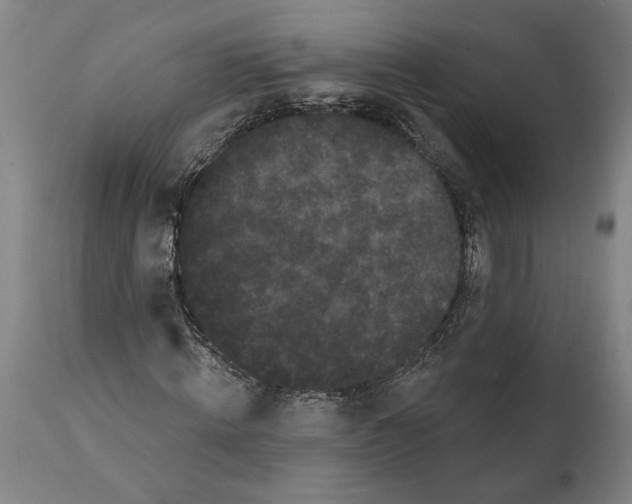 X0000112000820200909141059