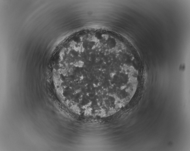 X0000112000823200909141059