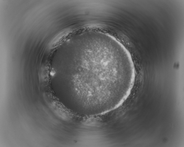 X0000112000824200909141059