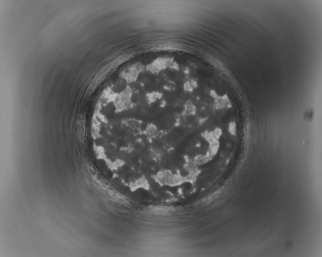 X0000112000825200909141059