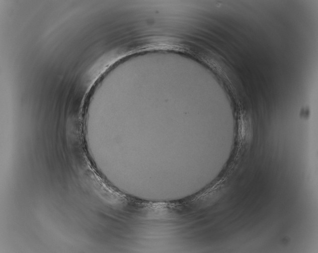 X0000112000828200909141059