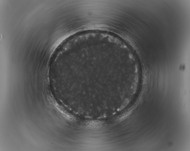 X0000112000830200909141059