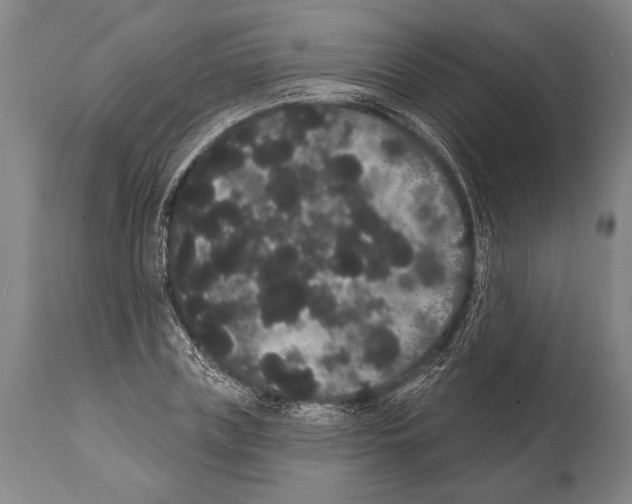 X0000112000835200909141059