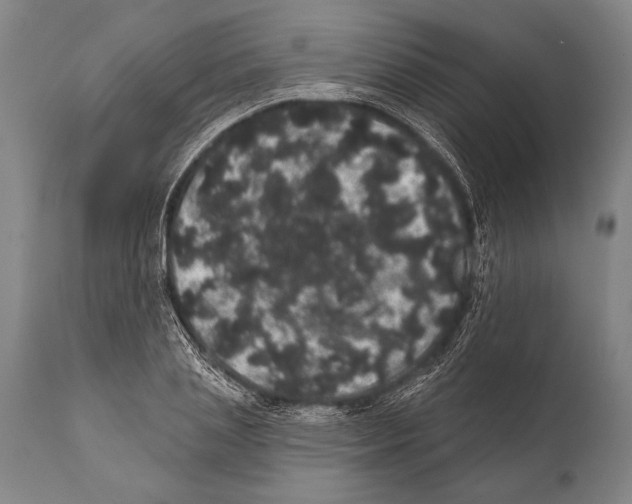 X0000112000837200909141059