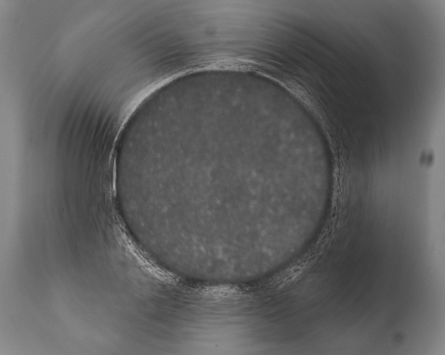 X0000112000838200909141059