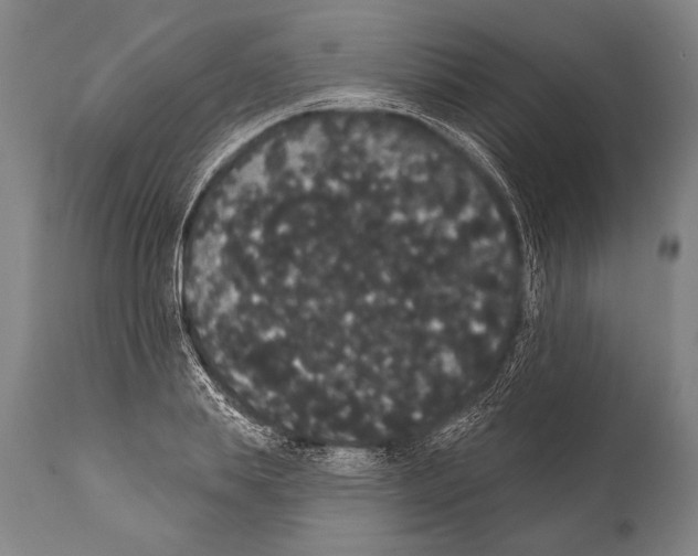 X0000112000839200909141059