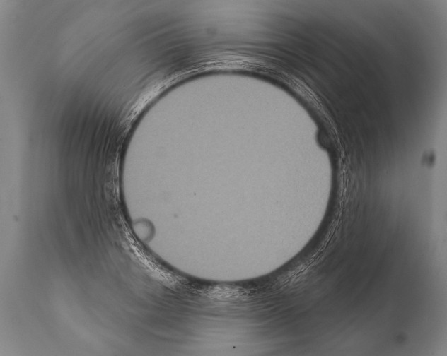 X0000112000842200909141059