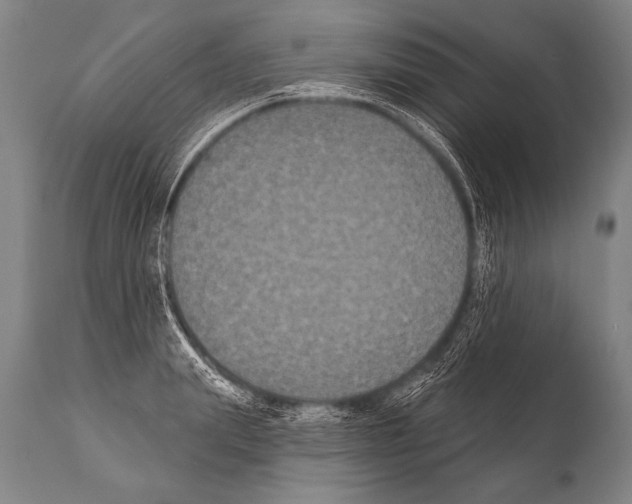 X0000112000847200909141059