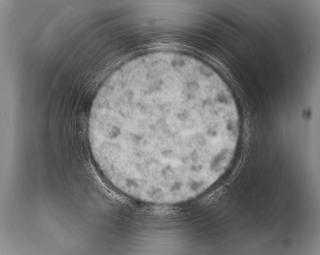 X0000112000849200909141059