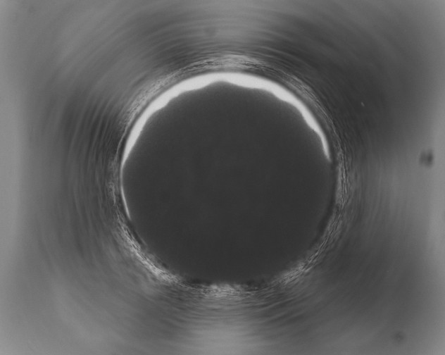 X0000112000850200909141059