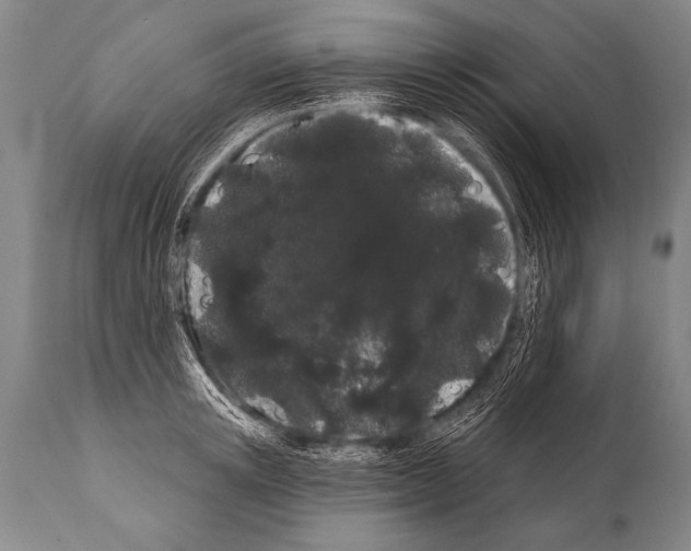 X0000112000851200909141059