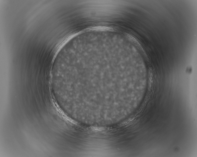 X0000112000852200909141059