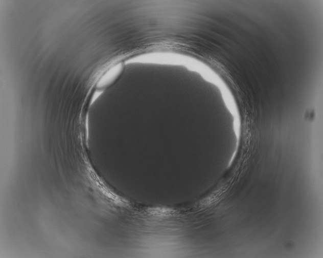 X0000112000854200909141059