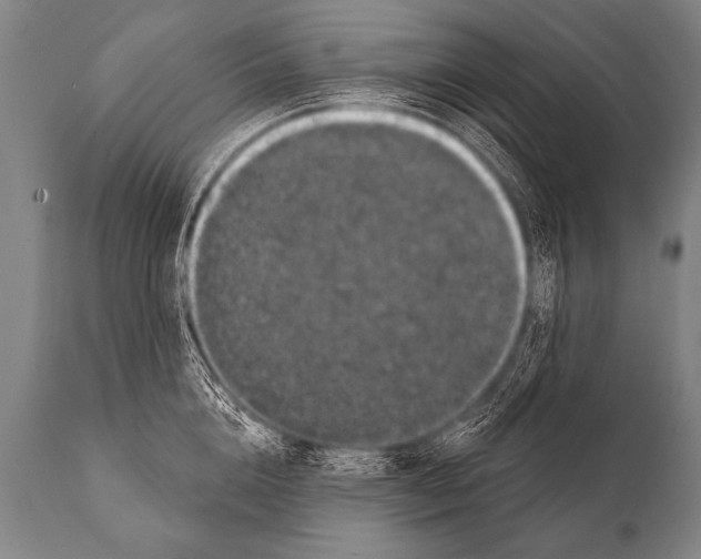 X0000112000856200909141059