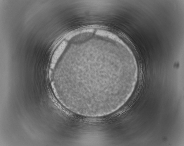 X0000112000860200909141059