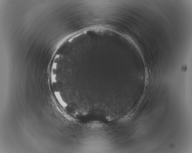 X0000112000862200909141059