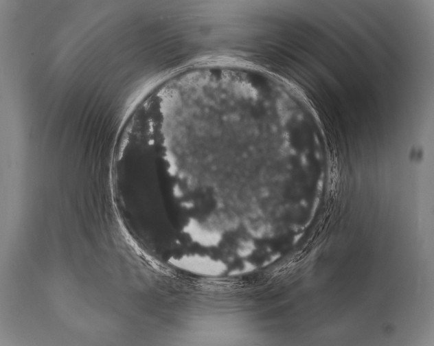 X0000112000863200909141059