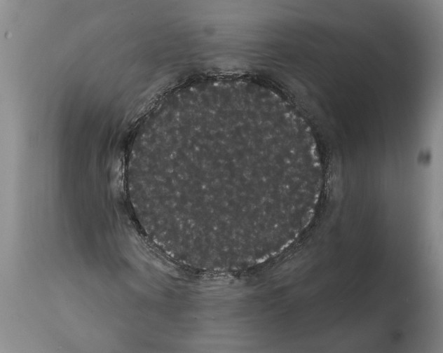 X0000112000866200909141059