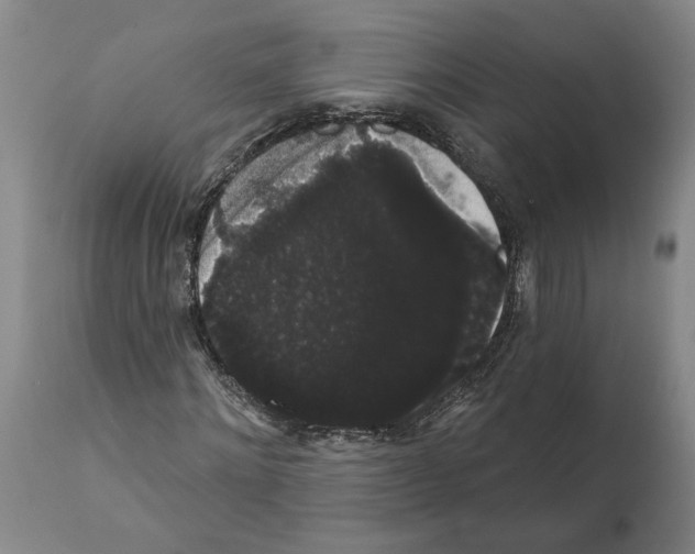 X0000112000868200909141059