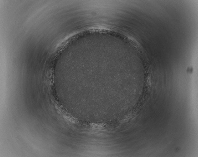 X0000112000870200909141059