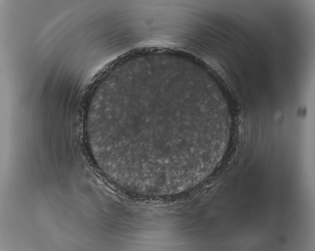 X0000112000872200909141059