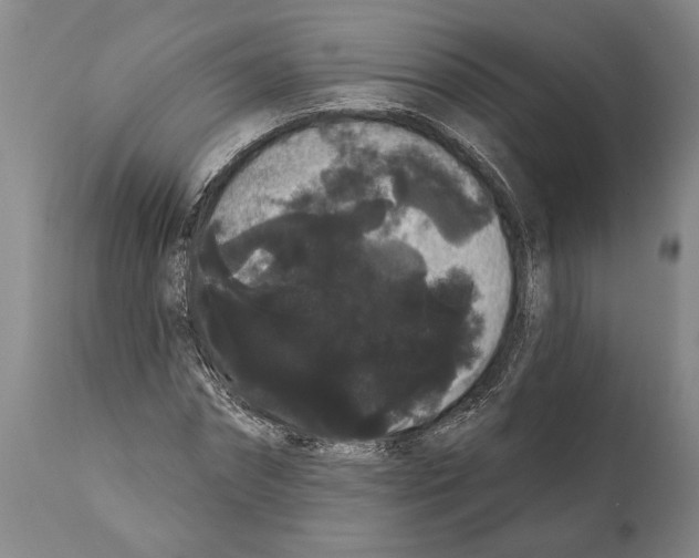 X0000112000874200909141059