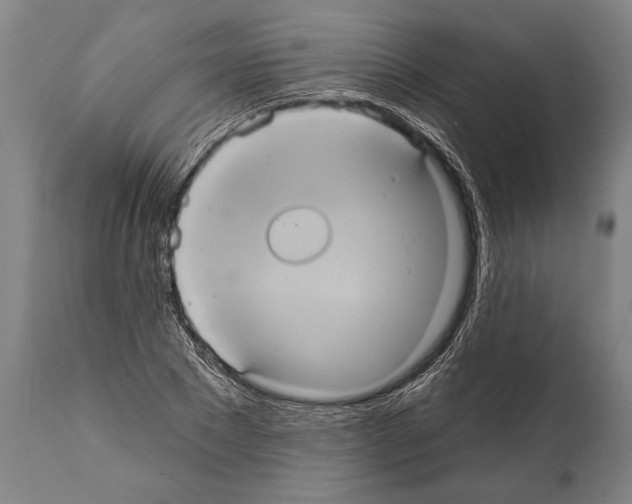 X0000112000881200909141059