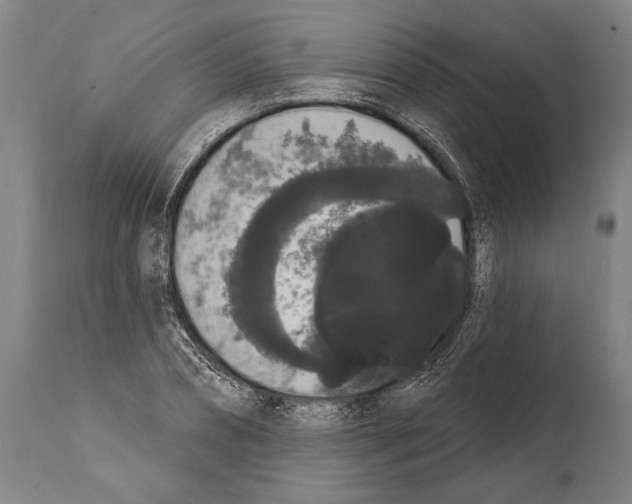 X0000112000882200909141059