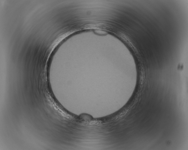 X0000112000884200909141059