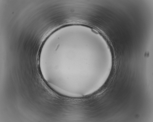 X0000112000885200909141059