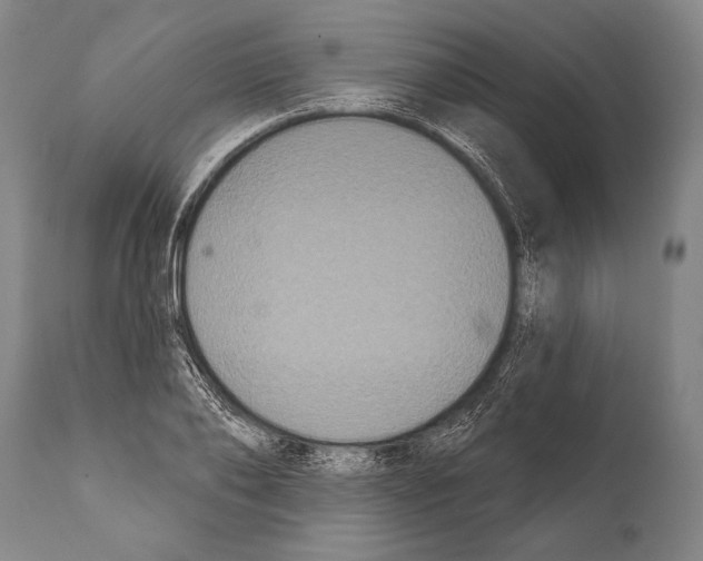 X0000112000886200909141059