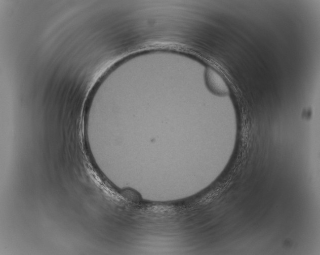 X0000112000888200909141058