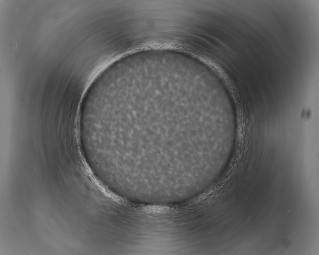 X0000112000894200909141058