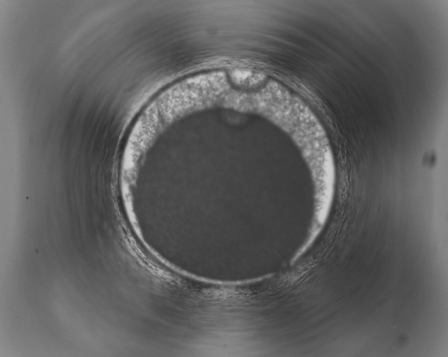 X0000112000896200909141058