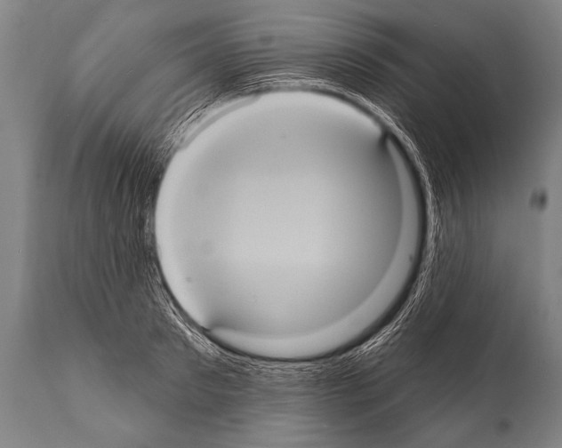 X0000112000897200909141058