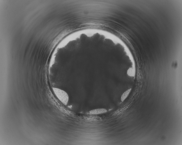 X0000112000899200909141058