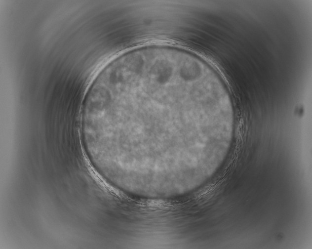 X0000112000903200909141058