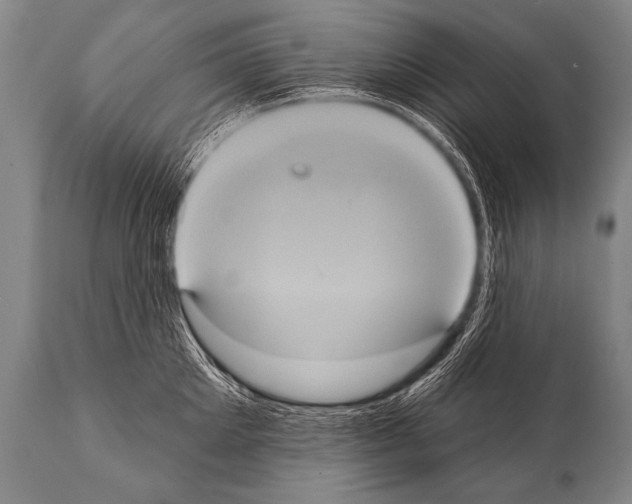 X0000112000905200909141058