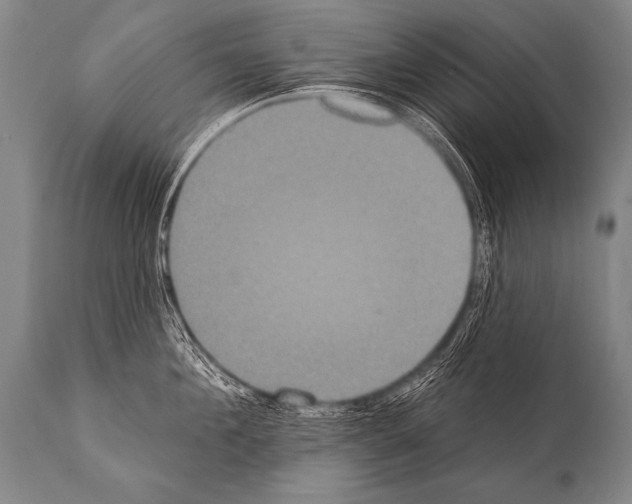 X0000112000908200909141058