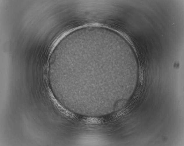 X0000112000911200909141058