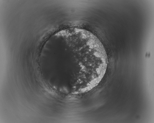 X0000112000913200909141057